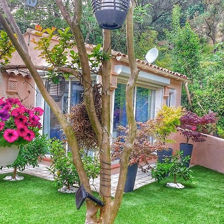 Dans Un Jardin Bb Et Jacuzzi Bed & Breakfast Mandelieu La Napoule Bagian luar foto